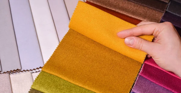 Müşteri sevdiği renk kumaşına bakar ve seçer. Yeni kanepesi için kumaş örneklerinden kumaşı seçer..