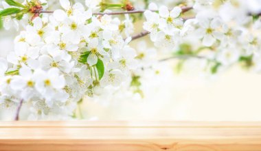 Ürün gösterisi ve bahar çiçeklerinin arkaplanına karşı sunum için boş ahşap masa. Pankart. Metin için alanı kopyala