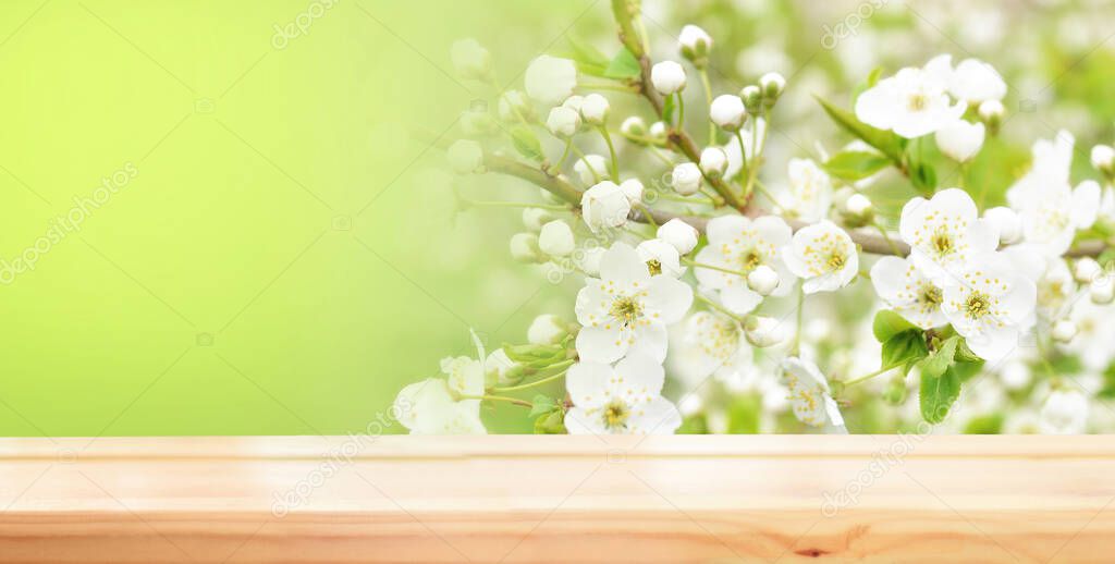Empty wooden table for product demonstration and presentation against the backdrop of spring blossoms. Banner. Copy space for text