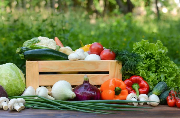 植物園を背景に 木の箱や木のテーブルの上に新鮮な有機野菜 生物学 バイオ製品 生物生態学 健康食品 菜食主義の概念 — ストック写真