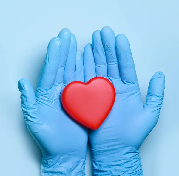 Two hands of a doctor in medical gloves hold a red heart for concept doctors treat and care for patients with heart or cardiology heart disease.Donation concept. Copy space. Banner