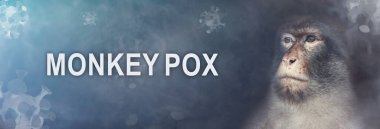 Monkeypox 2022 virus. Monkeypox outbreak concept.Monkeypox is a viral zoonotic disease. Monkeys may harbor the virus and infect people.Virus transmitted to humans from animals. Copy space. Banner