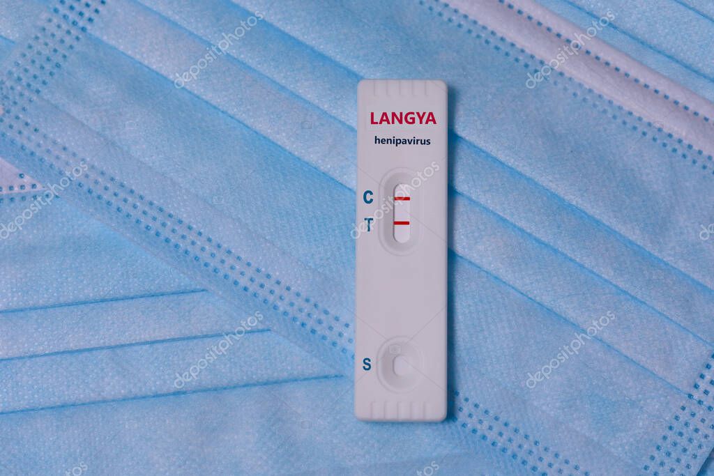 laboratory Express test Schnelltest with positive Langya henipavirus