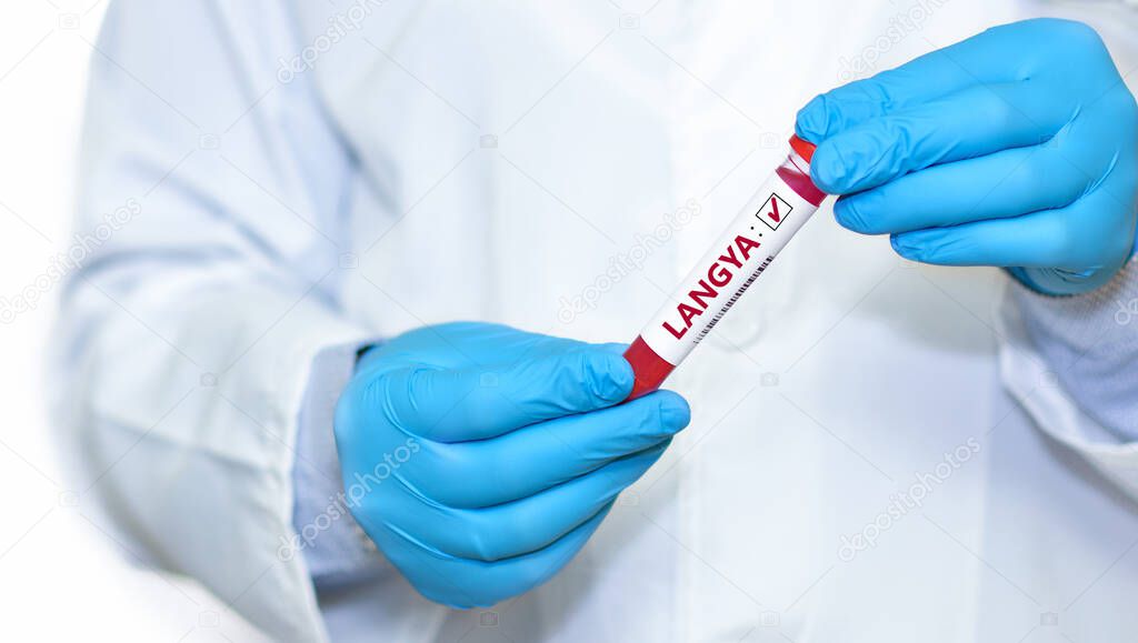Doctor holding a test blood sample tube with positive Langya henipavirus (LayV).The virus is transmitted from animals to humans. Infected people suffer from fever, cough, headache, nausea and vomiting