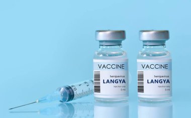 Two vials with vaccine Langya henipavirus (LayV) with a syringe on a blue background.The concept of medicine, healthcare. The virus is transmitted from animals to humans. Copy space for text.