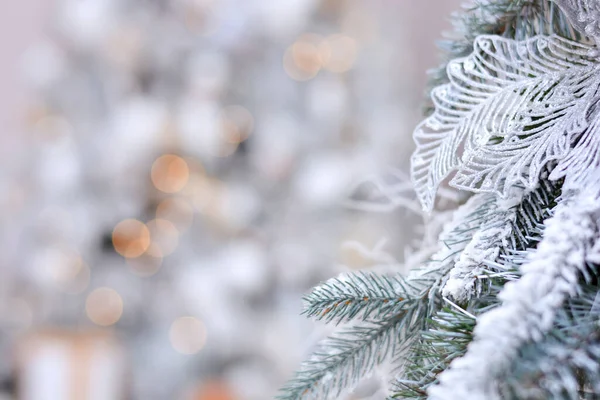 Snowy Branch Christmas Tree Background Beautiful Christmas Bokeh Hristmas Background — Stock Photo, Image