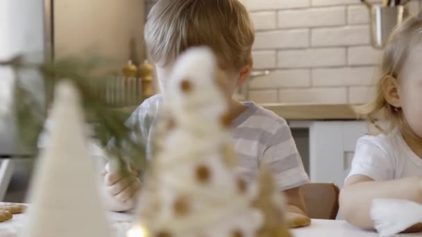 男孩和女孩在家里装饰和吃圣诞姜饼 一个男孩和一个女孩在饼干上涂有糖霜的玉米网 圣诞树上装饰一新的枝条 — 图库视频影像