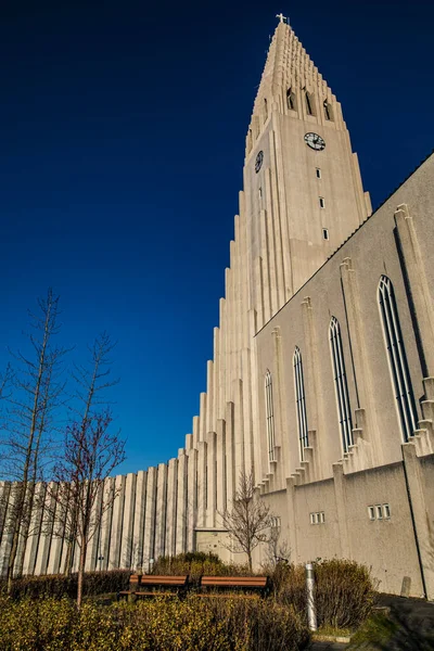 Kostel Hallgrmur Luteránský Kostel Reykjavíku Hlavním Městě Islandu Navrženo Architektem — Stock fotografie