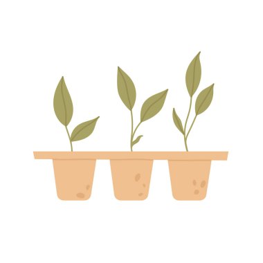 Yumurta kutusu ve fidanlar. Ekme işlemi. Evde bahçıvanlık, çevre konsepti için bahçe bakımı. Çizgi film tarzında vektör illüstrasyonu. Beyaz arkaplanda izole.