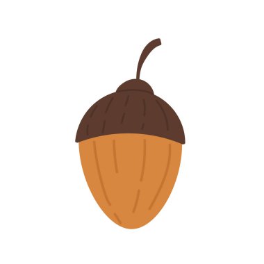 Meşe ağacı. Meşe meyvesi. Çizgi film tarzında vektör illüstrasyonu. Beyaz arkaplanda izole.