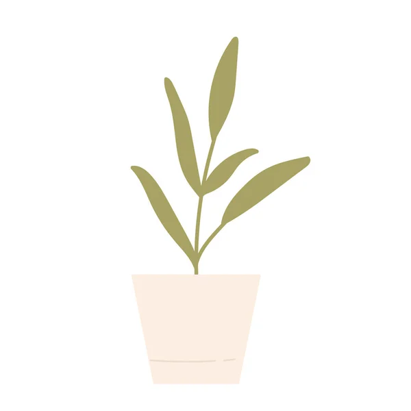 Sprout Pot Planting Process Home Gardening Horticulture Care Environment Concept —  Vetores de Stock