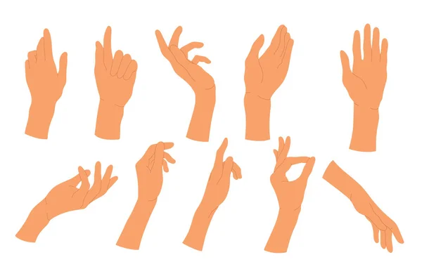 Poses Female Hands Set Gesturing People Hands Different Positions Human — Stock vektor