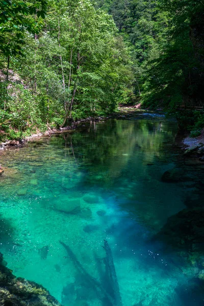 Beautiful View Turquoise Transparent Stream Water Vintgar Gorge Lake Bled — Foto de Stock