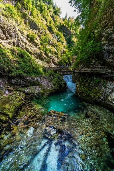 Beautiful View Turquoise Transparent Stream Water Vintgar Gorge Lake Bled — Foto de Stock