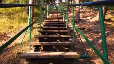 Bahar parkında ahşap bir merdivene tırmanmak. Bahar güneşi parlayan yeşil yapraklar..