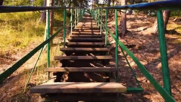 Monter un escalier en bois dans un parc de printemps. Les jeunes feuilles vertes avec l'éclat du soleil de printemps. — Video