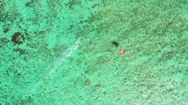 Mauritius 'taki Le Morne çevresindeki berrak tropikal sularda bir uçurtma sörfçüsünün hava görüntüsü.