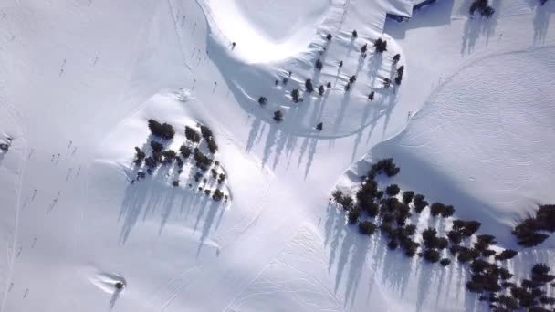 Вид с воздуха на Лыжи и сноуборд на холме, Горнолыжный курорт. Беспилотник летит над лыжниками, спускаясь с холма, горы Альпы, — стоковое видео