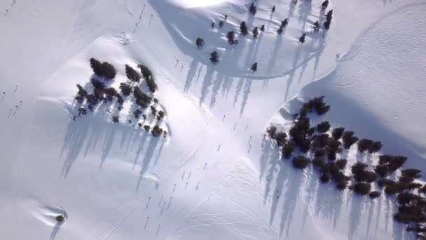 Luftaufnahme der Menschen Skifahren und Snowboarden auf Hügel, Skigebiet. Drohne fliegt über Skifahrer, die den Berg hinunter fahren, — Stockvideo