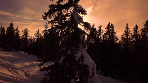 Sněžné hory v nízkých mracích a modrá obloha při západu slunce v zimě. Panoramatická krajina s krásným sněhem pokryté skály v mlze v mrazivém večeru. Letecký pohled na vysoké štíty. Alpy v Dolomitech, Itálie — Stock video