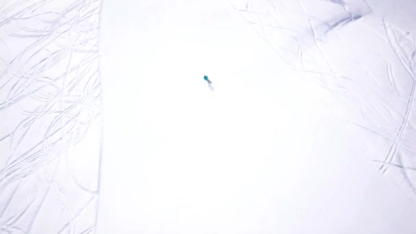 Aerial ośrodka narciarskiego w górach słonecznych z sosnowym lasem. Narciarze zjeżdżają na stoku śnieżnym na wyciągach. Zimowy krajobraz przyrody. Mężczyźni i kobiety ekstremalny sport. Aktywny i zdrowy tryb życia. Świerki śnieżne — Wideo stockowe