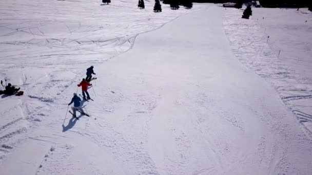 Aerial ośrodka narciarskiego w górach słonecznych z sosnowym lasem. Narciarze zjeżdżają na stoku śnieżnym na wyciągach. Zimowy krajobraz przyrody. Mężczyźni i kobiety ekstremalny sport. Aktywny i zdrowy tryb życia. Świerki śnieżne — Wideo stockowe