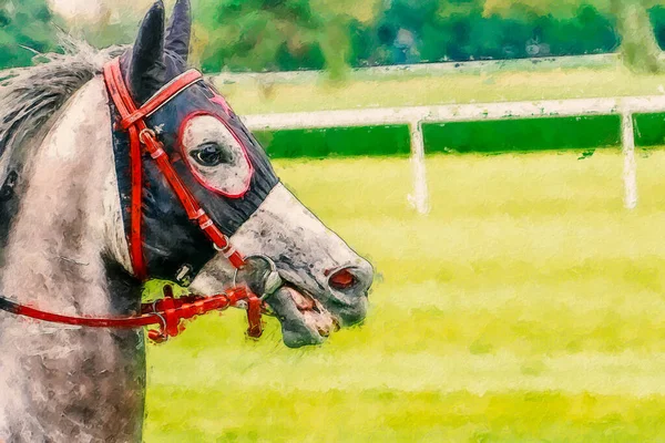 Retrato Deslumbrante Curativo Castanha Budyonny Cavalo Castração Freio Pintura — Fotografia de Stock
