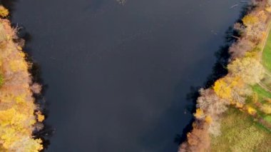 Yeşil ve sarı ağaçlı sonbahar ormanının yukarıdan görünüşü. Yaprak döken ve kozalaklı ormanların karışımı. Yukarıdan sonbahar ormanı. Renkli orman hava manzarası. Ormanda manzaralı sarı ağaçlar.