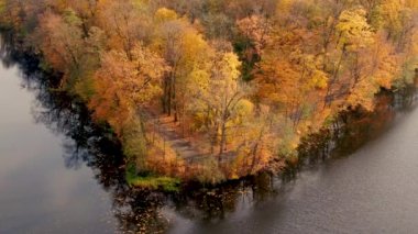En tepedeki sonbahar tahtası. Doğa geçmişi. Renkli ağaçlarla dolu sonbahar ormanının havadan görünüşü. Sonbahar ormanı insansız hava aracı manzarası. Parlak sarı yapraklı ağaçlar. Sonbaharda yaprak döken bir orman. Göl
