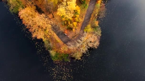 Madera Otoño Arriba Abajo Fondo Naturaleza Vista Superior Aérea Del — Vídeos de Stock