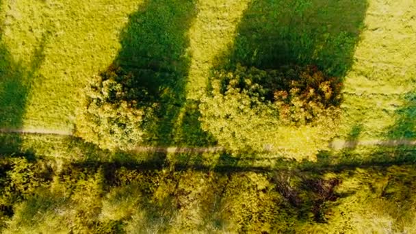 Aerial Top View Over Straight Road Z w kolorowe wsi Jesienny Las. Widok z lotu ptaka nad drogą w lesie jesienią z samochodów. Jesień Pomarańcza, Zielony, Żółty, Czerwone liście Drzewa Drzewa. — Wideo stockowe