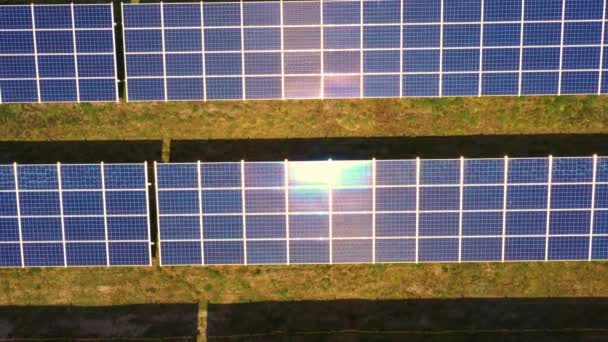 Вид зверху на нову сонячну ферму. Ряди сучасних фотоелектричних сонячних панелей. Відновлюване екологічне джерело енергії від сонця. Вид з повітря . — стокове відео
