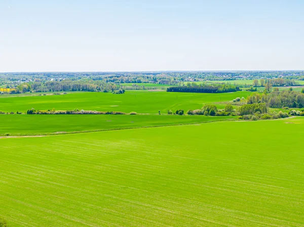 kuş bakışı Avrupa yeşil tarım alanlarının