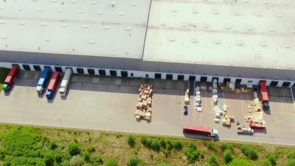Semi truck with cargo trailer is travelling on a parking lot along a warehouse of a logistics park. Aerial following shot — Wideo stockowe