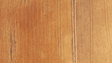 Hava sineması klibi: İHA gün batımında buğday tarlasında uçuyor. Drone sarı tarım buğday tarlası üzerinde uçuyor. Bir buğday tarlasının güzel yaz manzarası. Çiftlik buğday tarlasının üst görüntüsü.