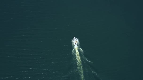 濃い色の豪華なボート 青い水の速い動き 空中ビュー 高価な高級イタリア船が水上から眺めることができます ボートダークウッド 水の上のビュー上の動き — ストック動画