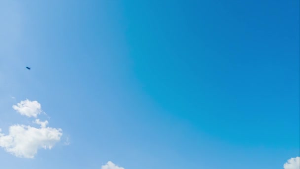 Blue Sky White Clouds Landscape White Clouds Cumulus Cloud Cloudscape — Stock Video