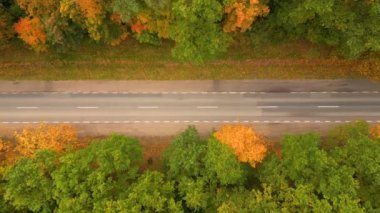 Ormandaki Hava Manzarası Arabalarla Sonbaharda. Renkli Kırsal Sonbahar Ormanı 'nda Arabalarla Düz Yol Üzerindeki Hava Üst Manzarası. Sonbahar Turuncusu, Yeşil, Sarı, Kırmızı Yaprak Ağaçları Ormanı.