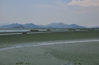 Karadağ 'daki Skadar Gölü. Doğanın ve dağların zenginliğiyle gölün açık yüzeyi. Gölde tekne turu.