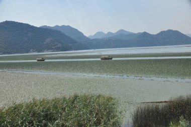 Karadağ 'daki Skadar Gölü. Doğanın ve dağların zenginliğiyle gölün açık yüzeyi. Gölde tekne turu.