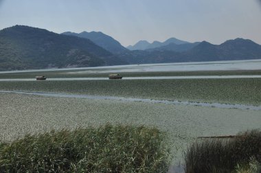 Karadağ 'daki Skadar Gölü. Doğanın ve dağların zenginliğiyle gölün açık yüzeyi. Gölde tekne turu.