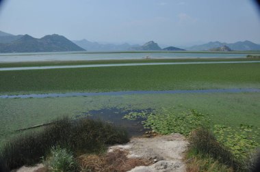 Karadağ 'daki Skadar Gölü. Doğanın ve dağların zenginliğiyle gölün açık yüzeyi. Gölde tekne turu.