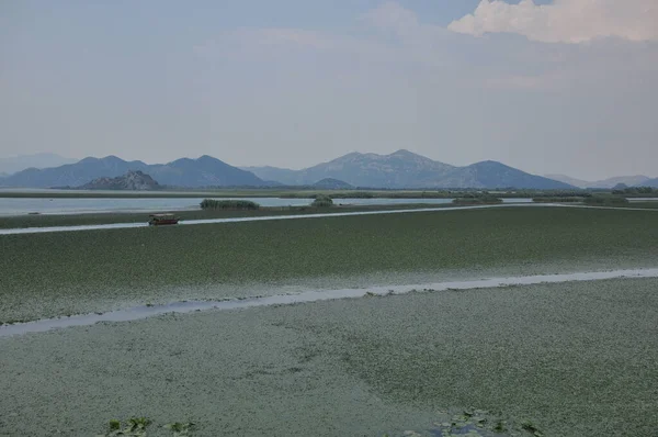 Karadağ 'daki Skadar Gölü. Doğanın ve dağların zenginliğiyle gölün açık yüzeyi. Gölde tekne turu.