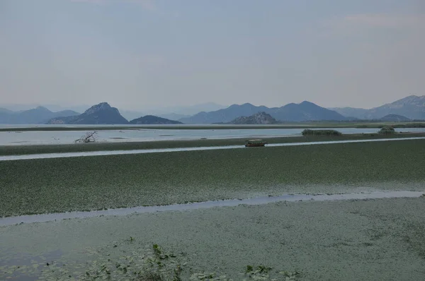Karadağ 'daki Skadar Gölü. Doğanın ve dağların zenginliğiyle gölün açık yüzeyi. Gölde tekne turu.