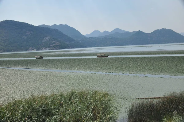 Karadağ 'daki Skadar Gölü. Doğanın ve dağların zenginliğiyle gölün açık yüzeyi. Gölde tekne turu.