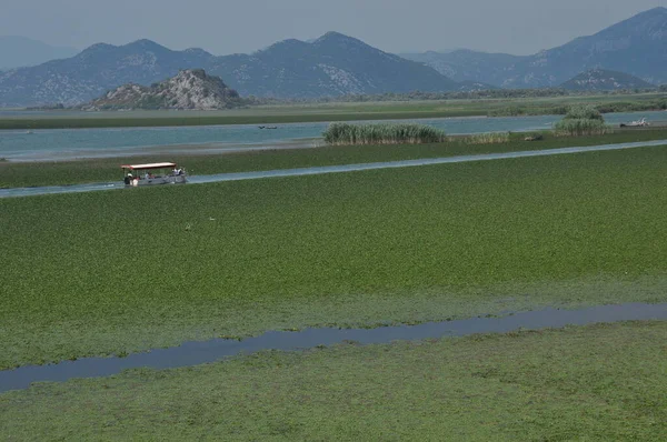 Karadağ 'daki Skadar Gölü. Doğanın ve dağların zenginliğiyle gölün açık yüzeyi. Gölde tekne turu.