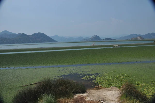 Karadağ 'daki Skadar Gölü. Doğanın ve dağların zenginliğiyle gölün açık yüzeyi. Gölde tekne turu.