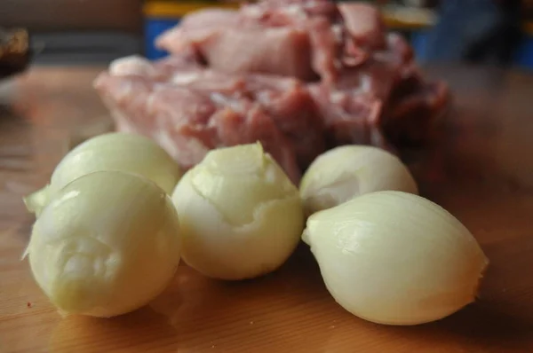 양파와 향신료와 그레이비에 돼지고기 맛있는 — 스톡 사진