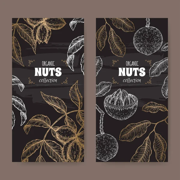 Two labels with carya illinoinensis aka pecan and Bertholletia excelsa aka Brazil nut branch and nuts sketch on black. — стоковый вектор