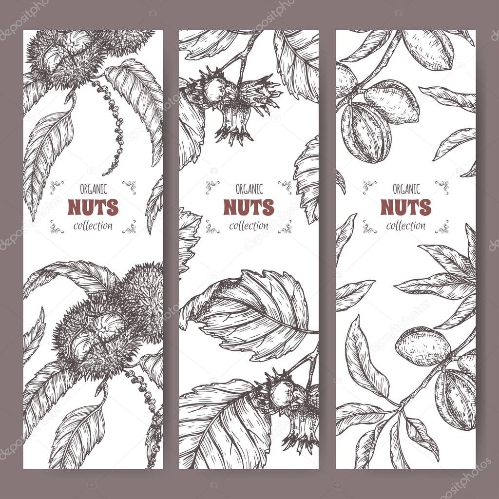 Set of three labels with sweet chestnut, common hazel and almond branch and nuts sketch. Culinary nuts series.